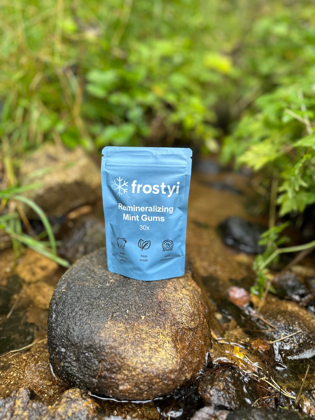 frostyi